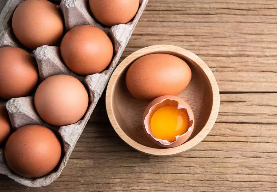 Can Dogs Eat Raw Eggs Benefits Safety of Raw Eggs for dogs